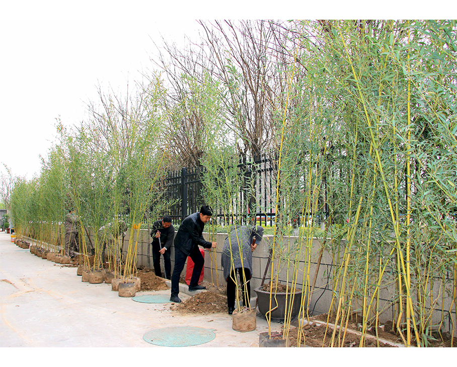 The spring breeze urges fresh green, it is time to plant trees