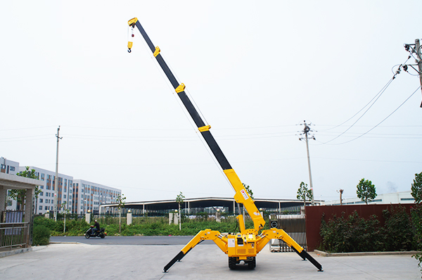 Professional small crane manufacturer.